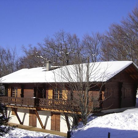 Appartement Chalet Renove 6 Pers Avec Terrasse Proche Evian, Ski Et Randonnee - Fr-1-498-29 Saint-Paul-en-Chablais エクステリア 写真