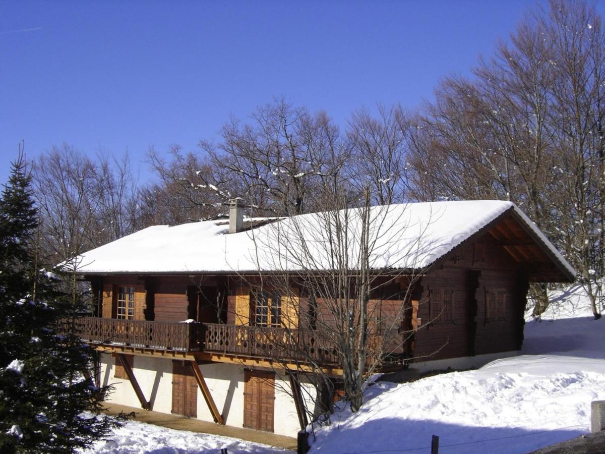 Appartement Chalet Renove 6 Pers Avec Terrasse Proche Evian, Ski Et Randonnee - Fr-1-498-29 Saint-Paul-en-Chablais エクステリア 写真