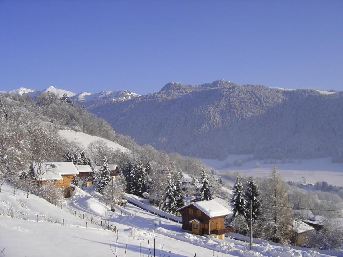 Appartement Chalet Renove 6 Pers Avec Terrasse Proche Evian, Ski Et Randonnee - Fr-1-498-29 Saint-Paul-en-Chablais エクステリア 写真