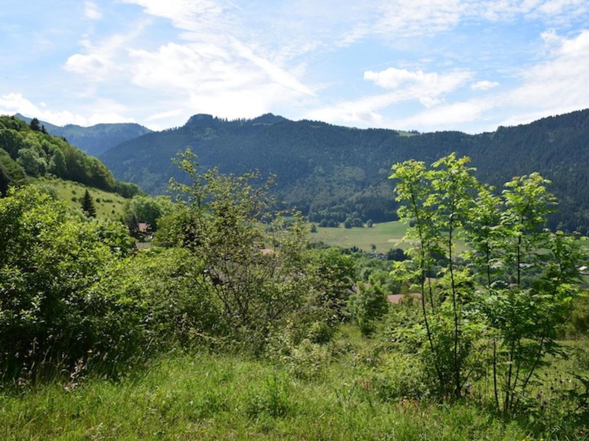 Appartement Chalet Renove 6 Pers Avec Terrasse Proche Evian, Ski Et Randonnee - Fr-1-498-29 Saint-Paul-en-Chablais エクステリア 写真